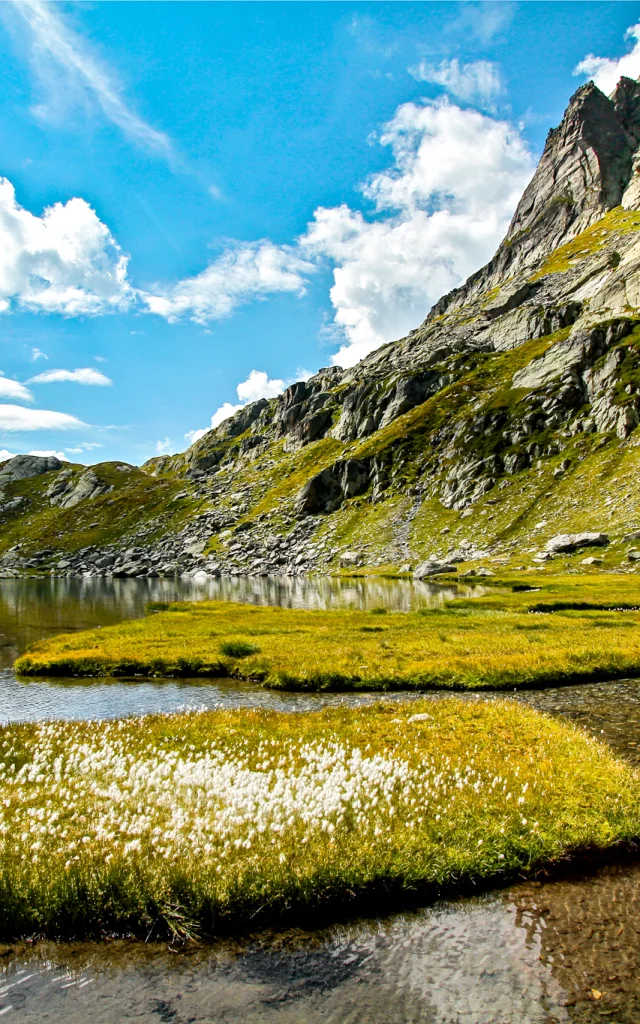 Lac du Petit à Sainte-Foy-Tarentaise, cadre idyllique et paisible en altitude, entouré de montagnes