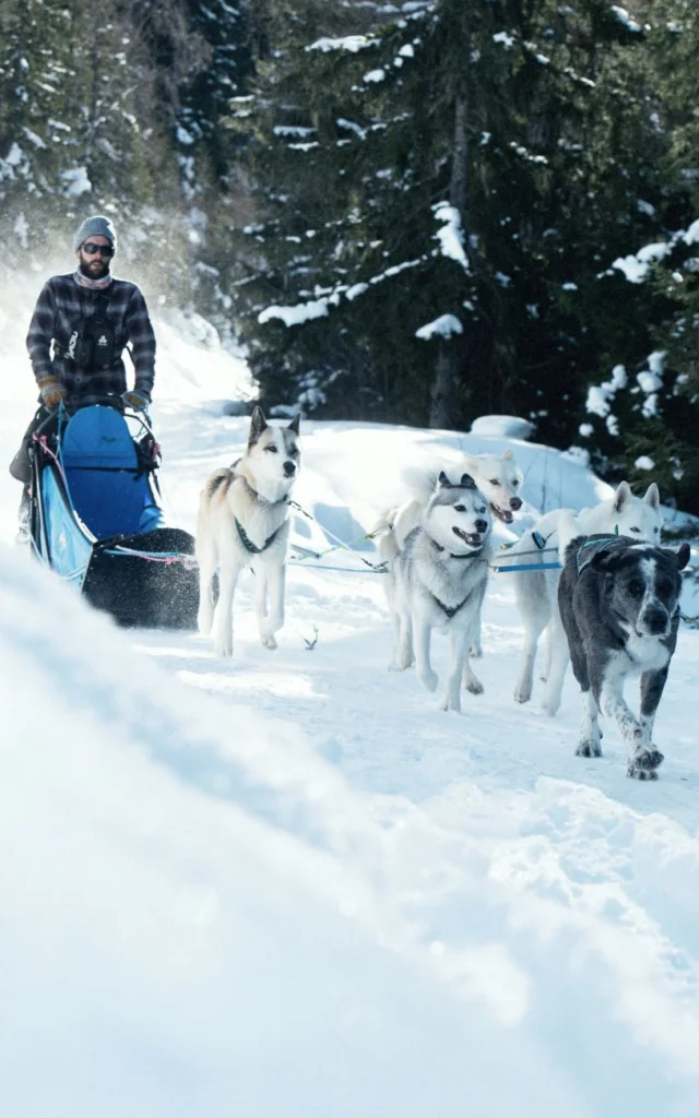 Sainte Foy Tarentaise Wild 01 David Andre