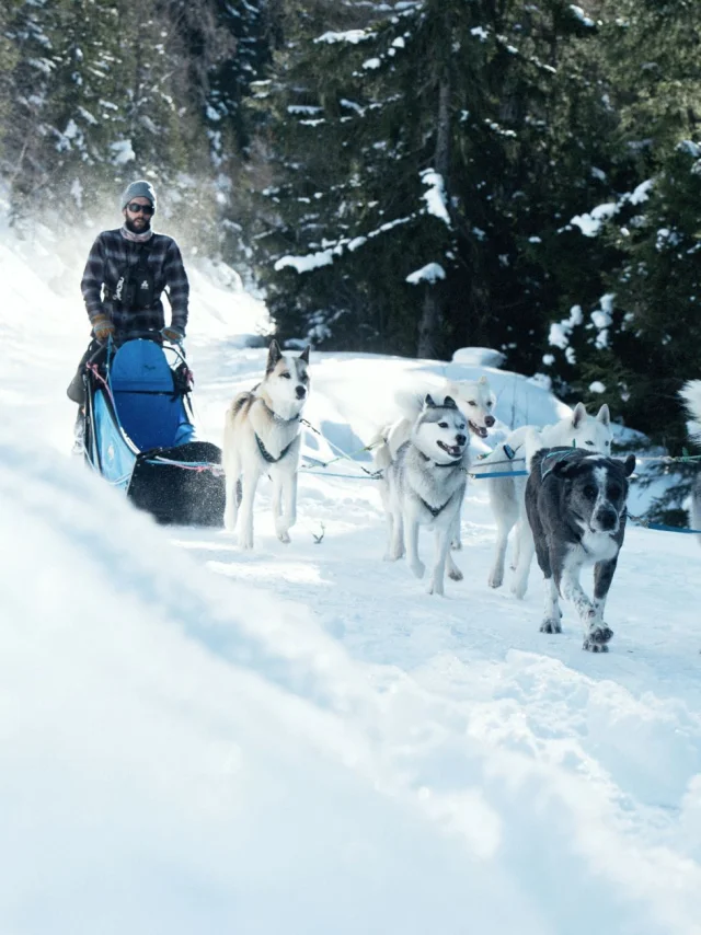 Sainte Foy Tarentaise Wild 01 David Andre